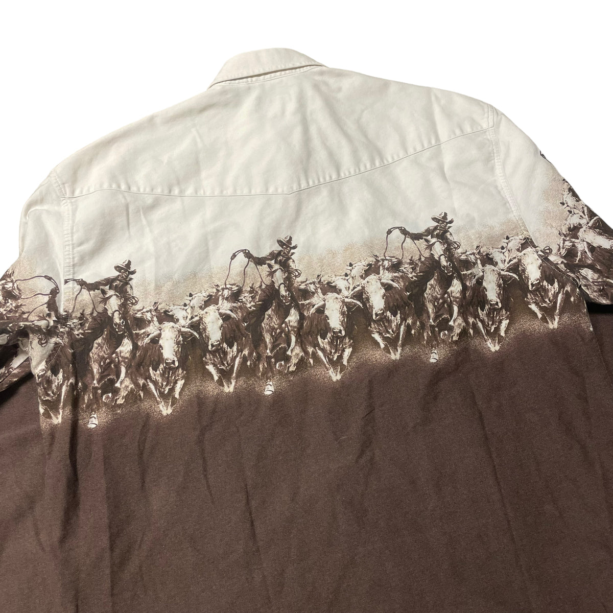 00’s Roper Cowboy Western Shirt