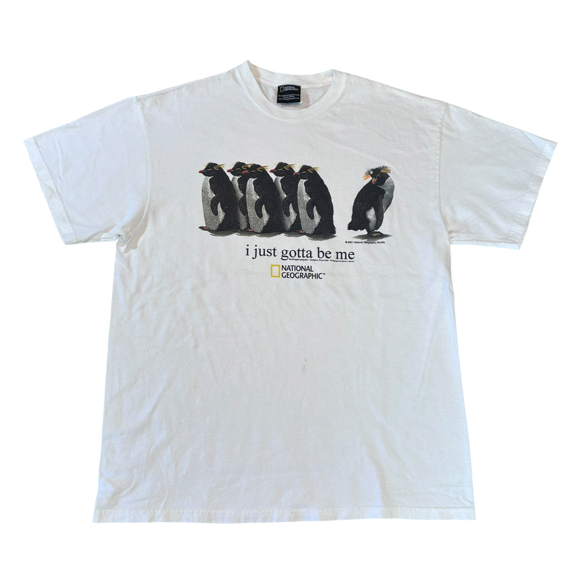 National Geographic penguin T-shirt size large ￼