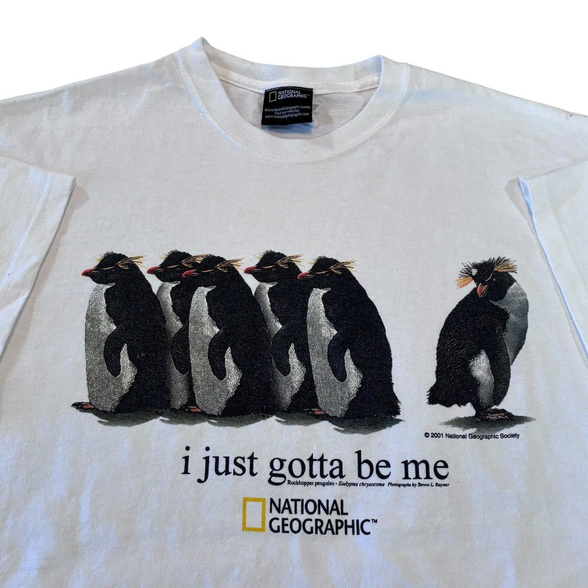 National Geographic penguin T-shirt size large ￼