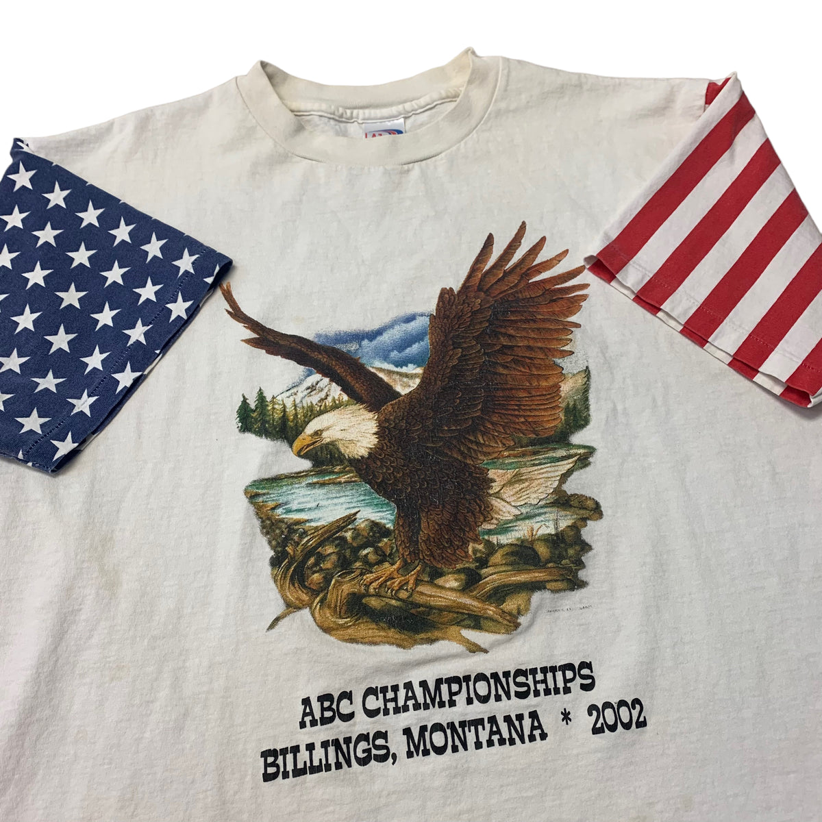 90’s/00’s Eagle American Flag T-Shirt