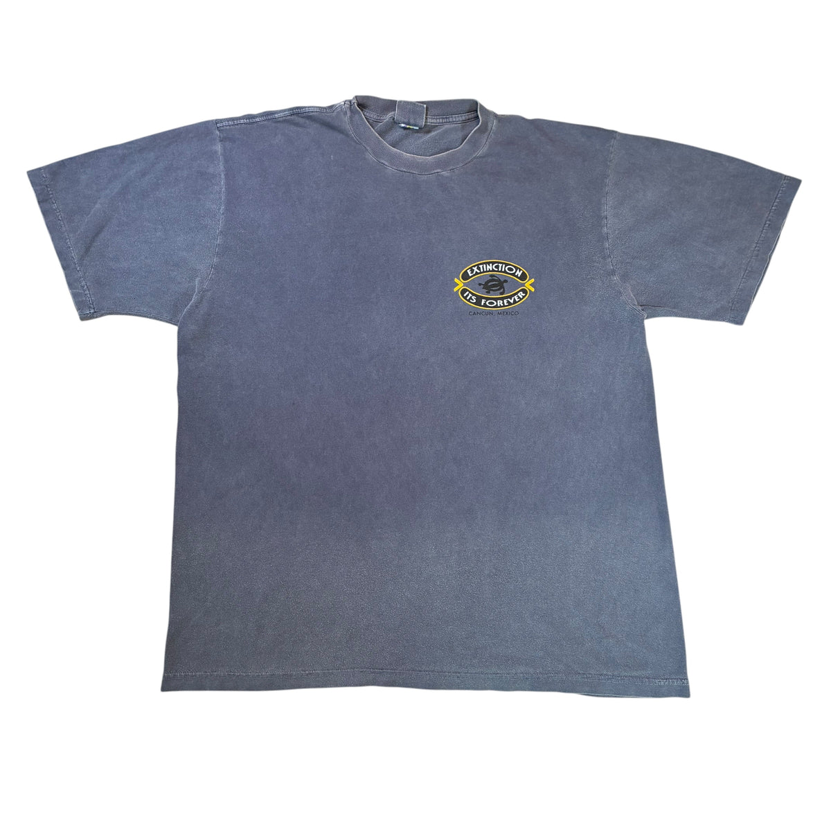 Extinction Vintage T-Shirt XL