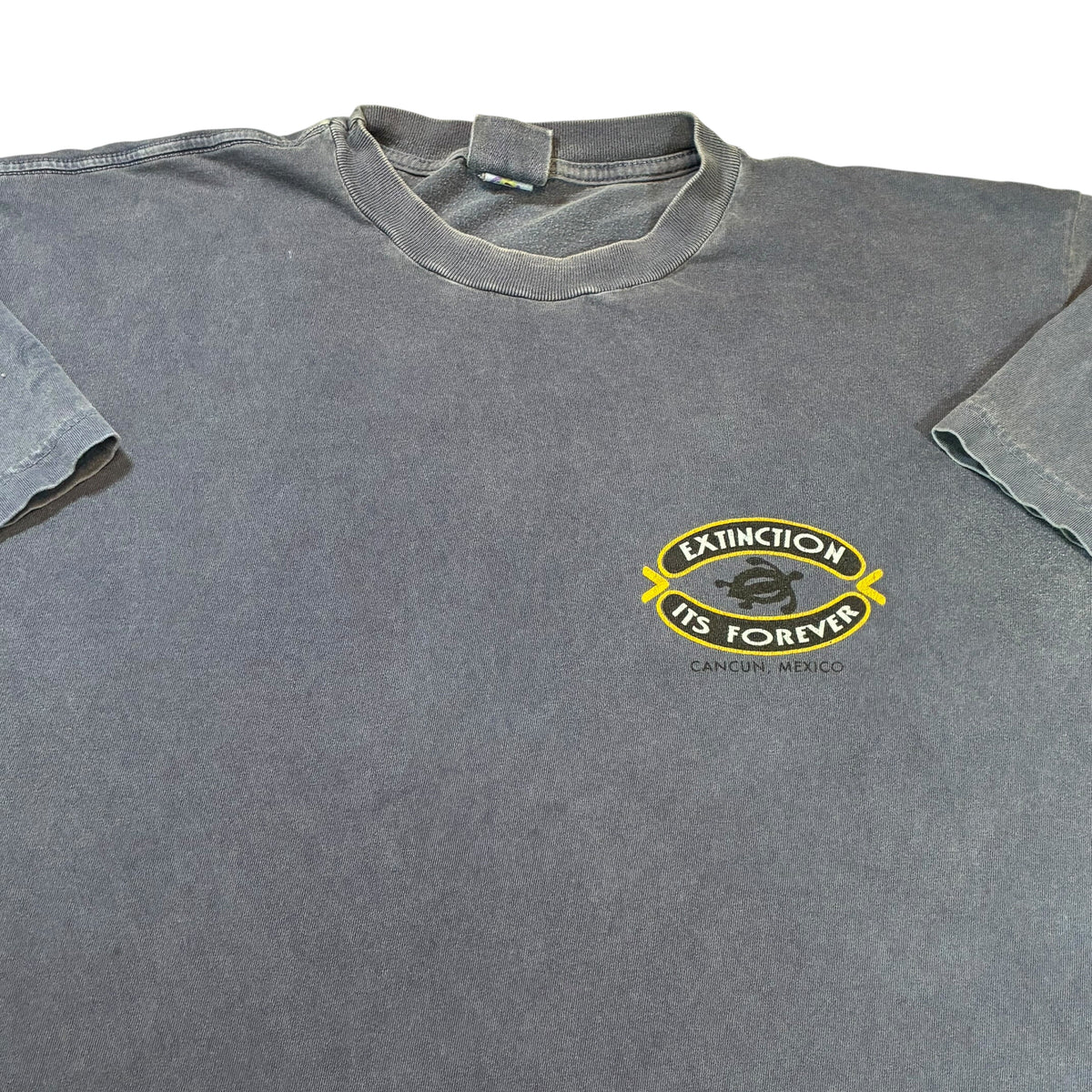 Extinction Vintage T-Shirt XL