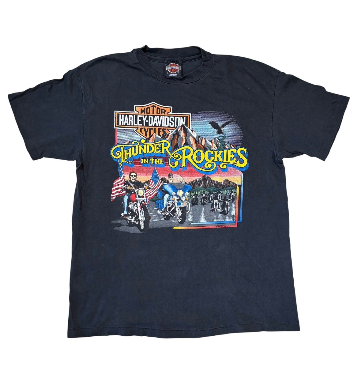 Vintage Harley Davidson T-shirt, size large