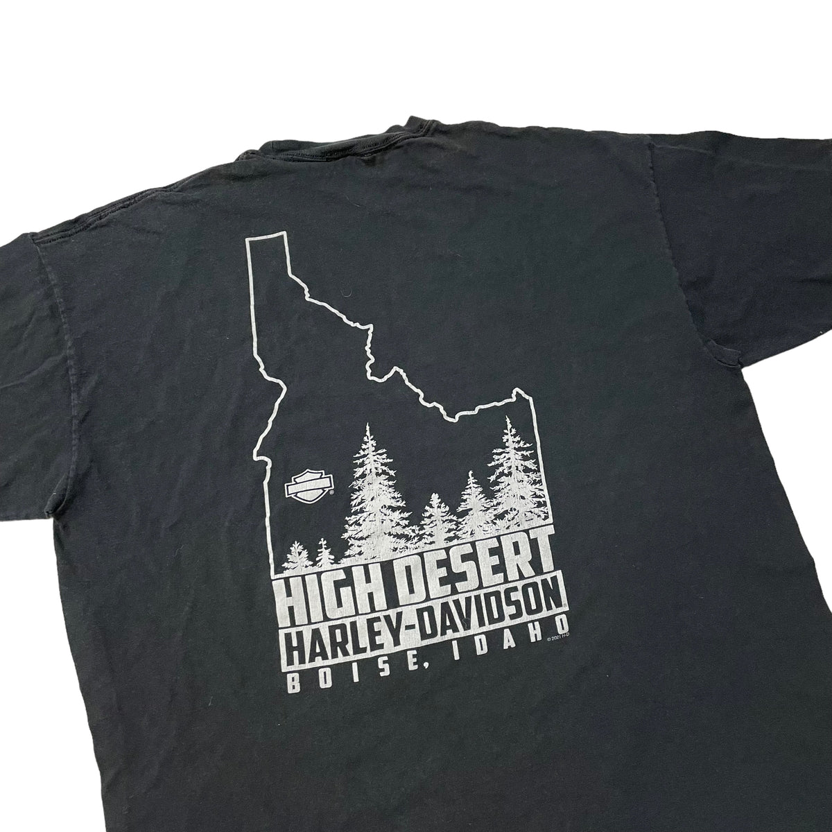 Modern Harley Davidson Idaho T-Shirt