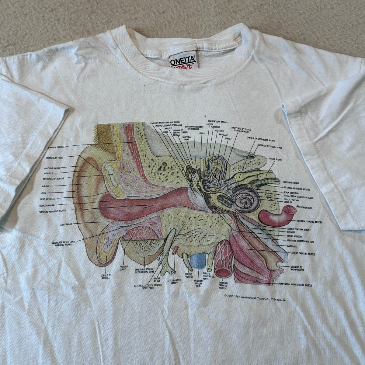 Anatomy ear T-shirt size large ￼