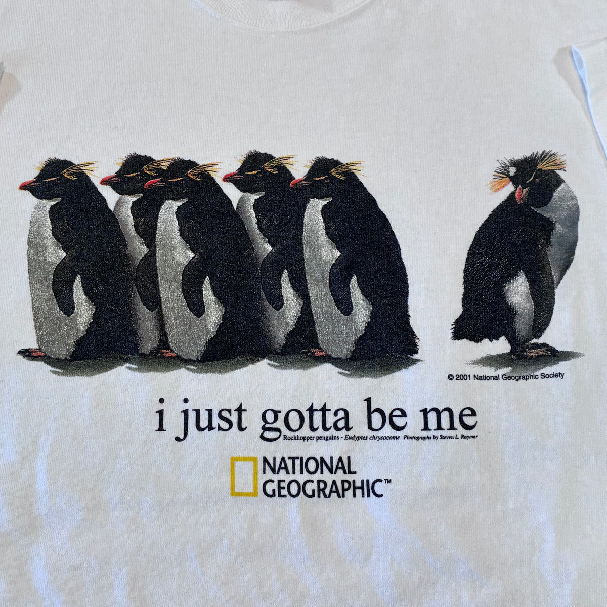 National Geographic penguin T-shirt size large ￼