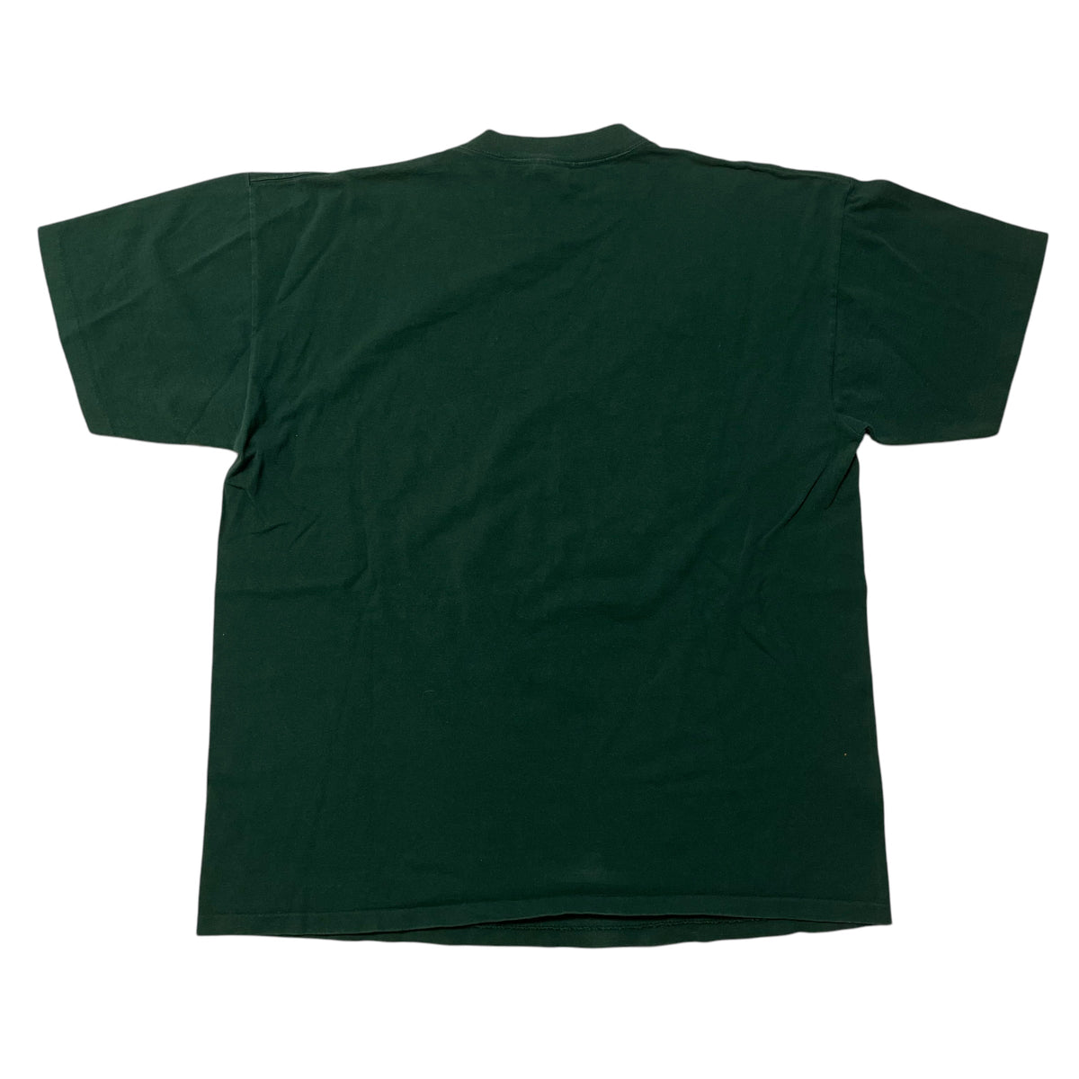 90’s Fashion Victim Courtney Davis Nature Art T-Shirt
