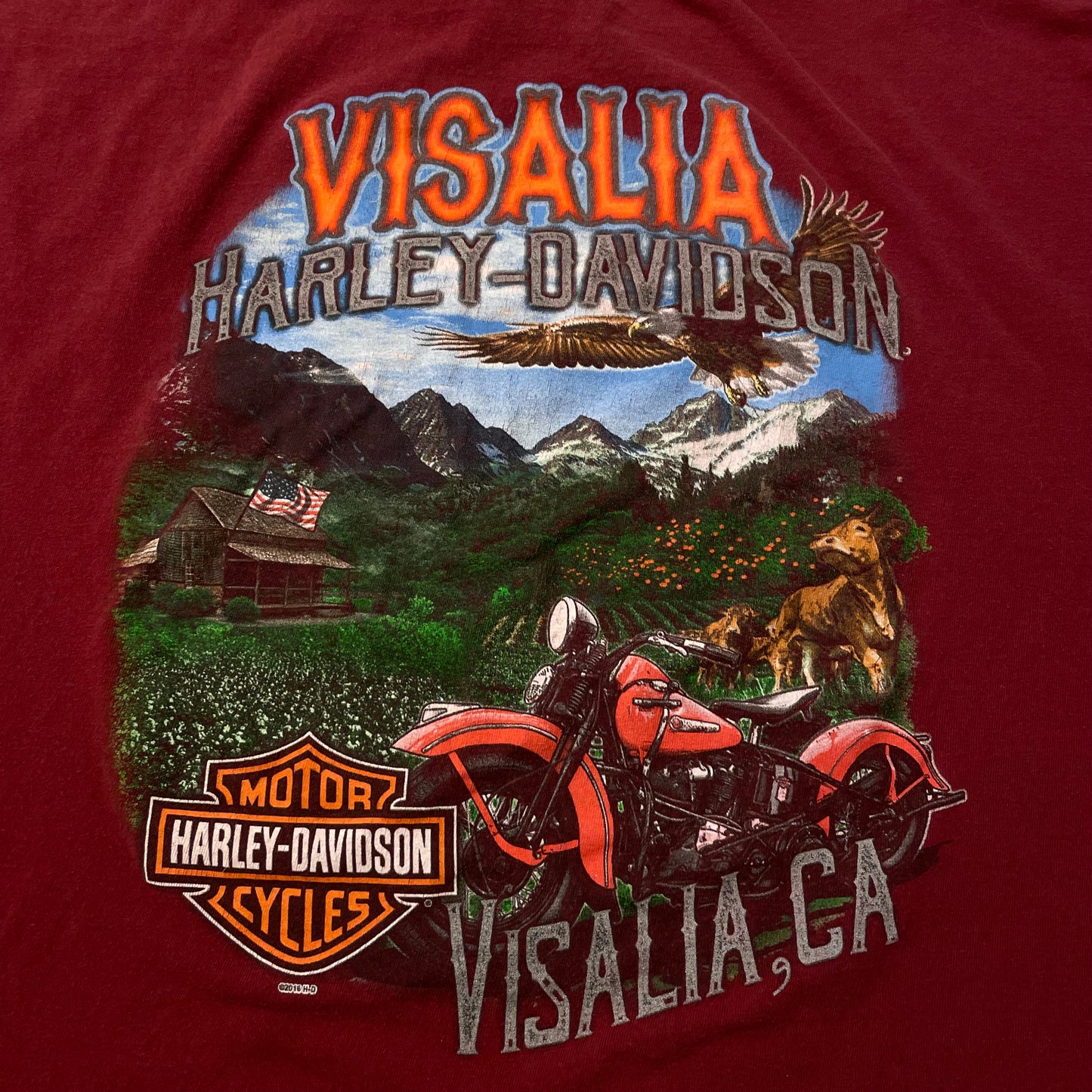 2010’s Harley Davidson T-Shirt