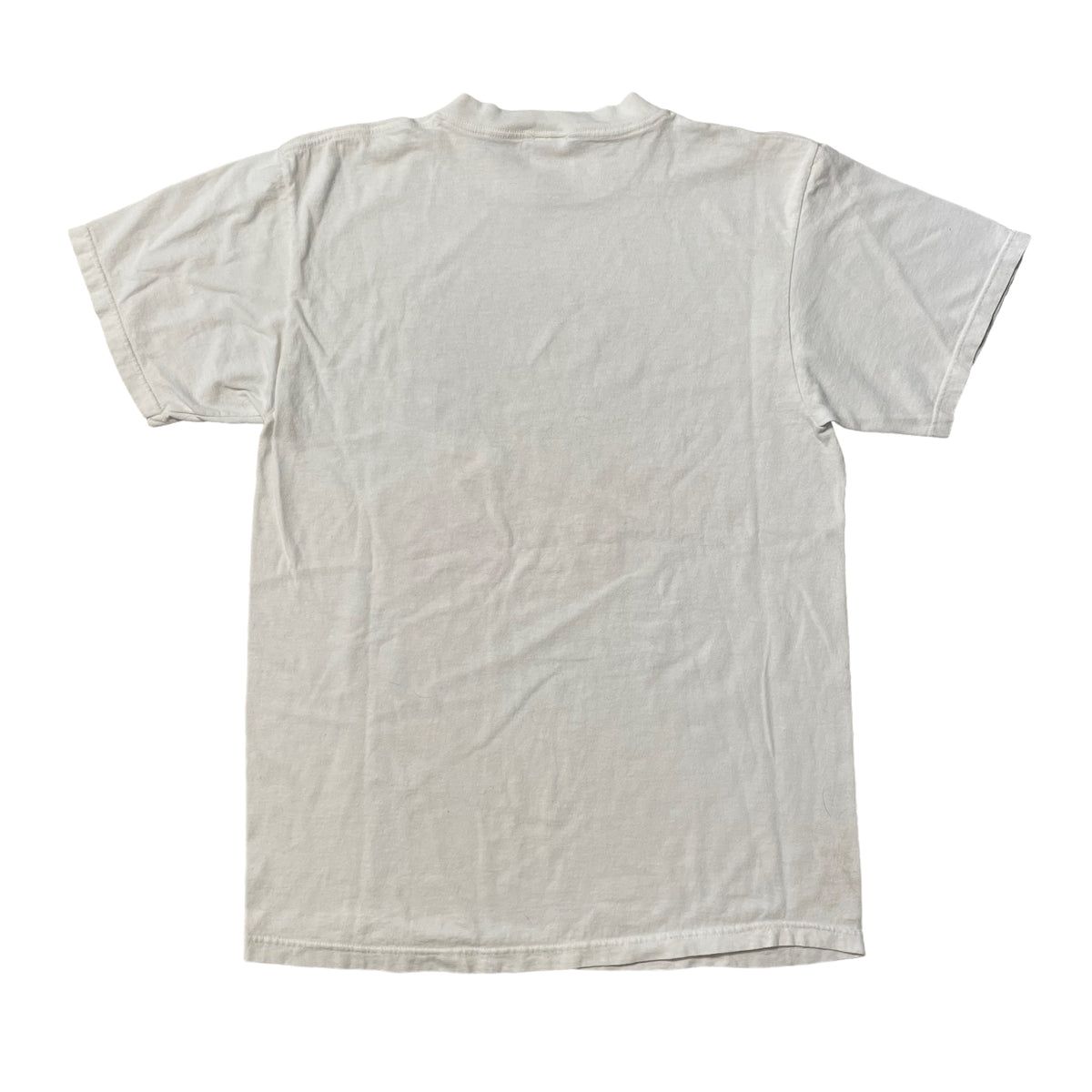90’s Einstein in Hawaii Parody T-Shirt