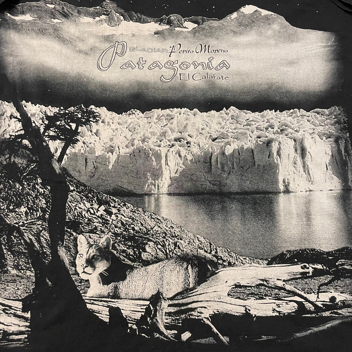 90’s Patagonia Location T-Shirt