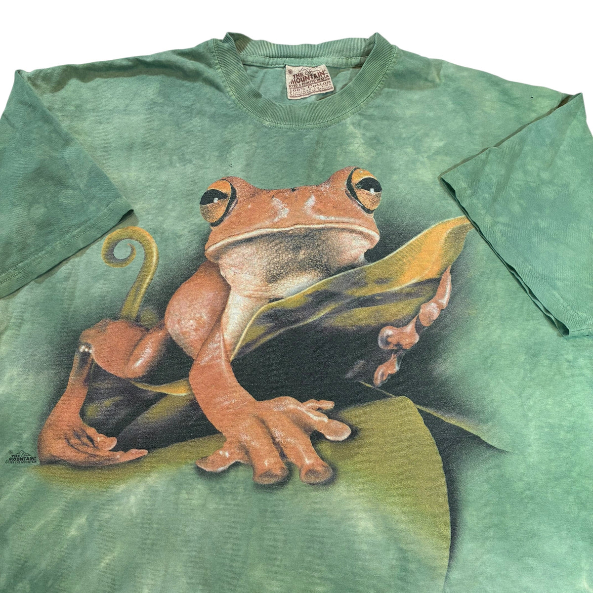 Frog  tee xl
