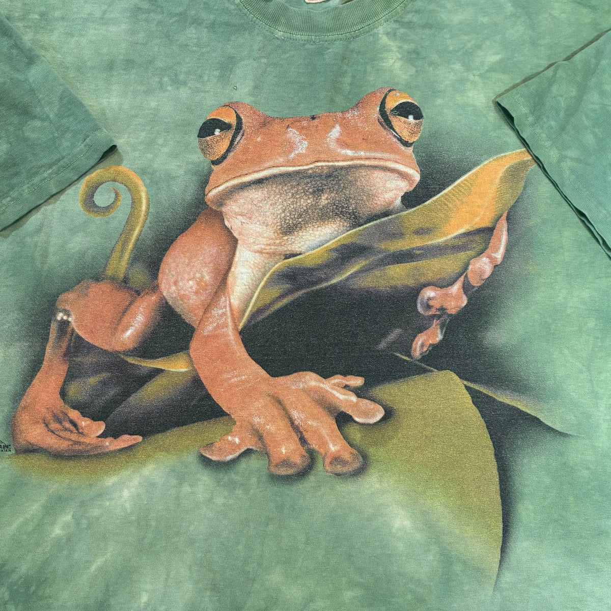 Frog  tee xl