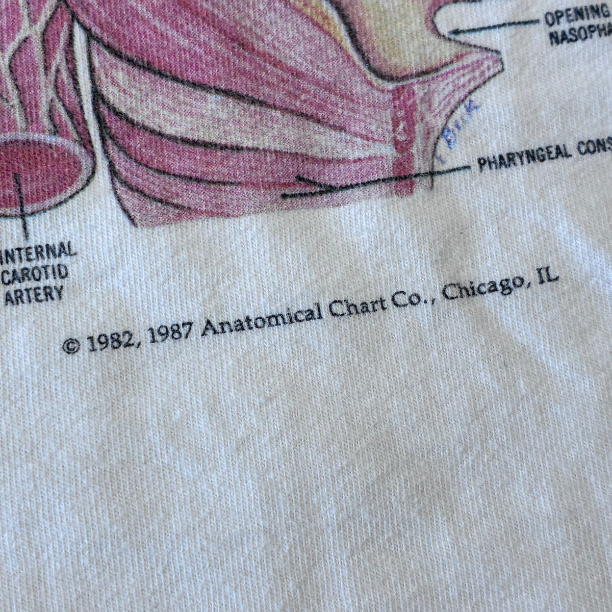 Anatomy ear T-shirt size large ￼