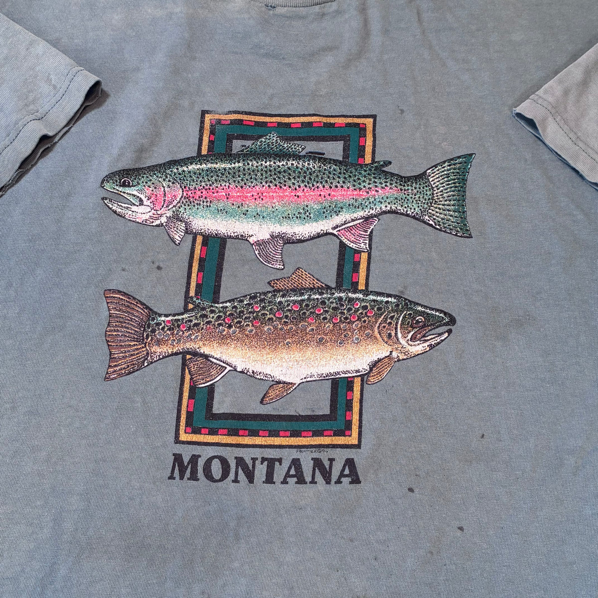 Trashed Fish tee size xl