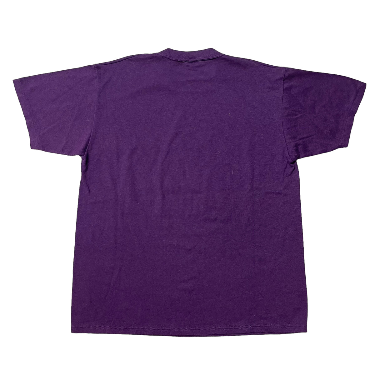 80’s ‘Damn Seagulls’ Florida T-Shirt