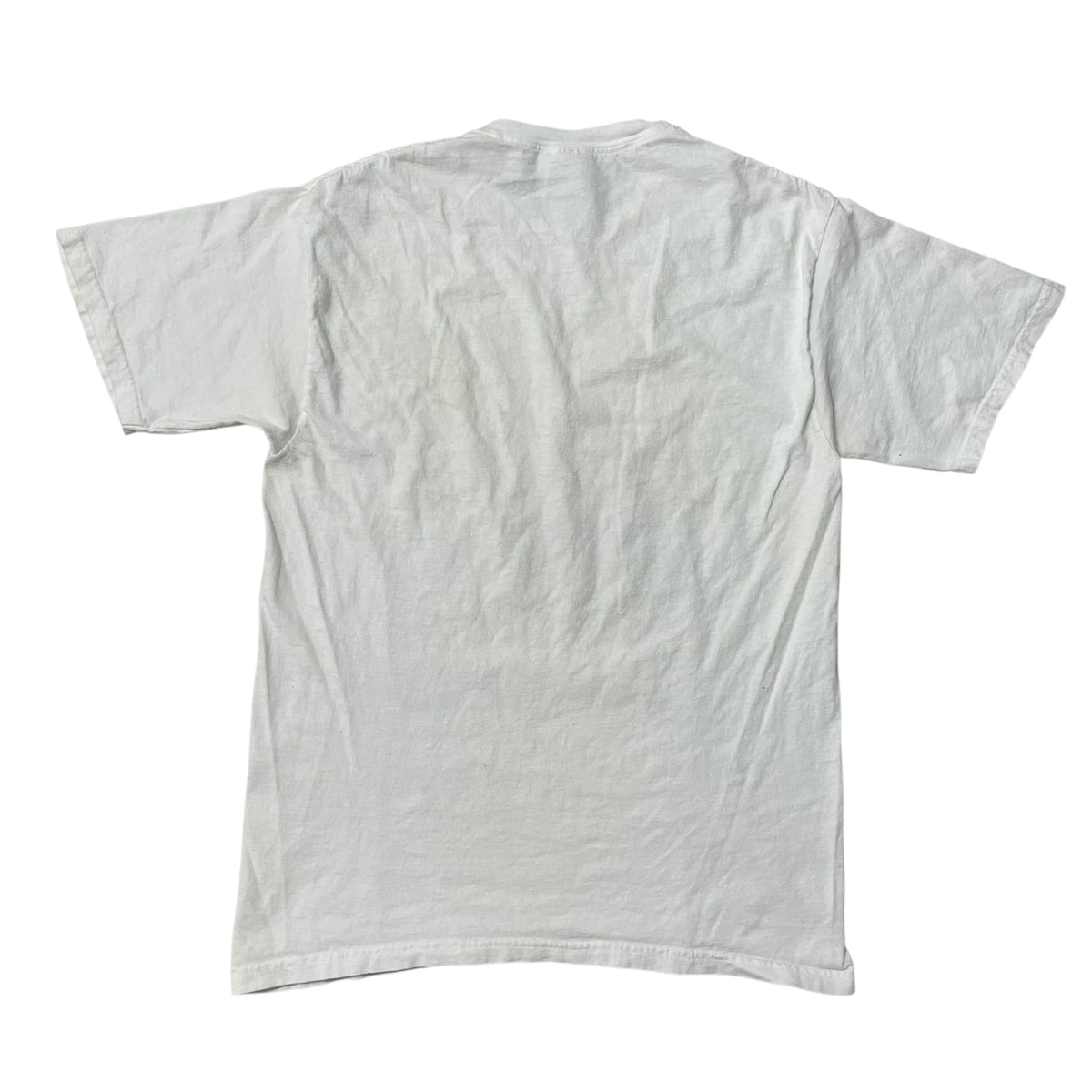 00’s Edgar Allen Poe ‘Last Words’ T-Shirt