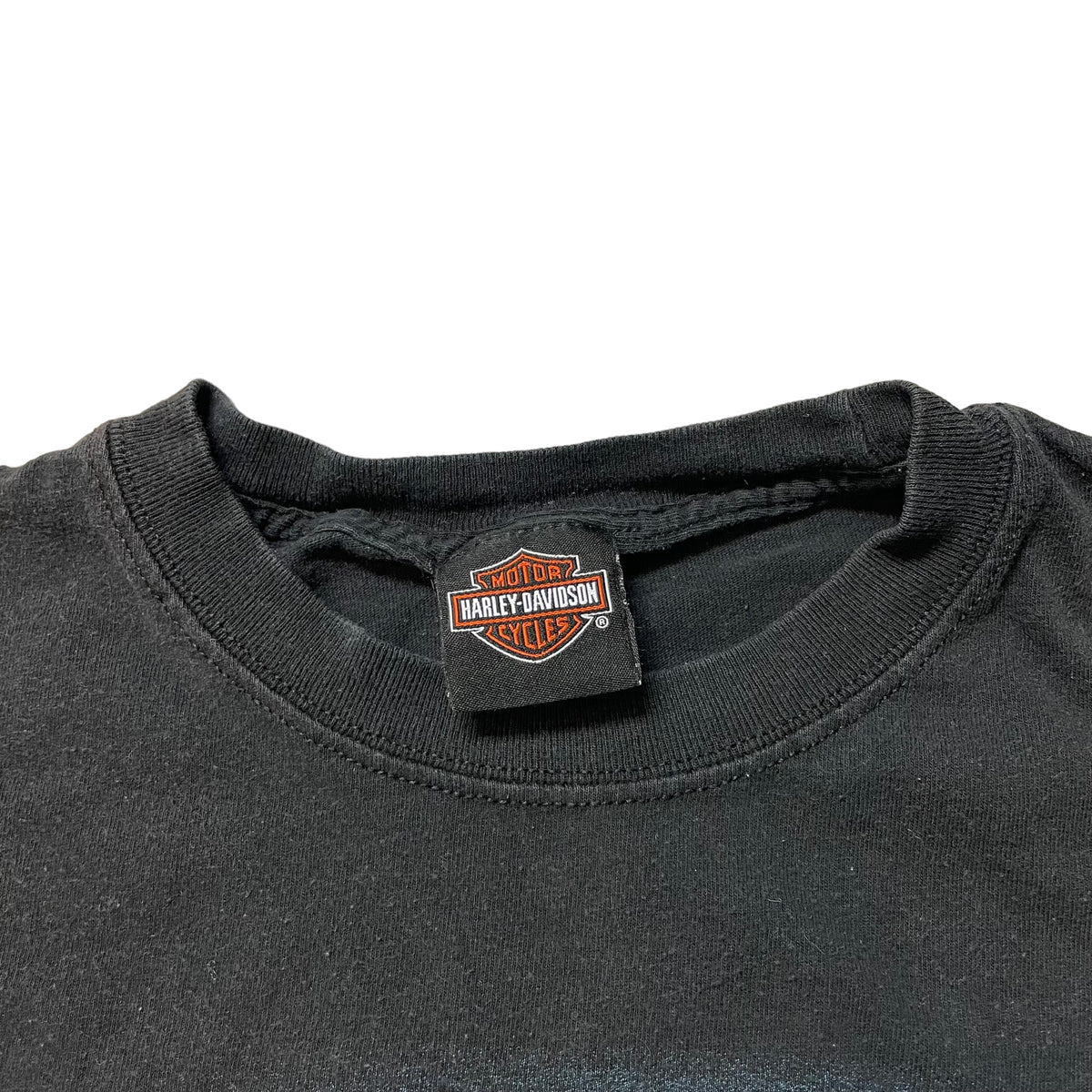 Modern Harley Davidson Idaho T-Shirt