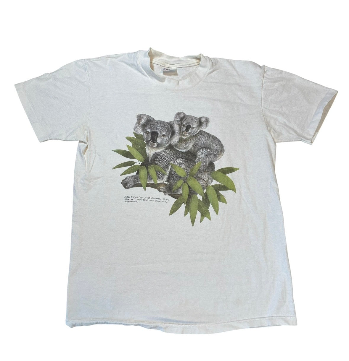 Koala bear T-shirt size medium  ￼