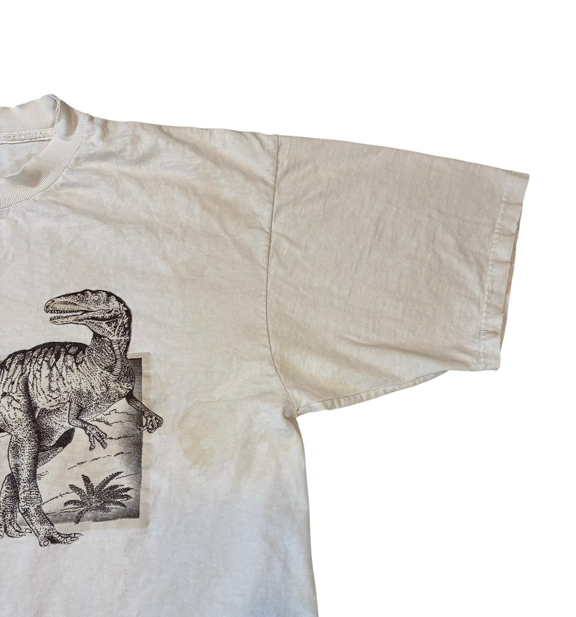 Dinosaur T-shirt size xl
