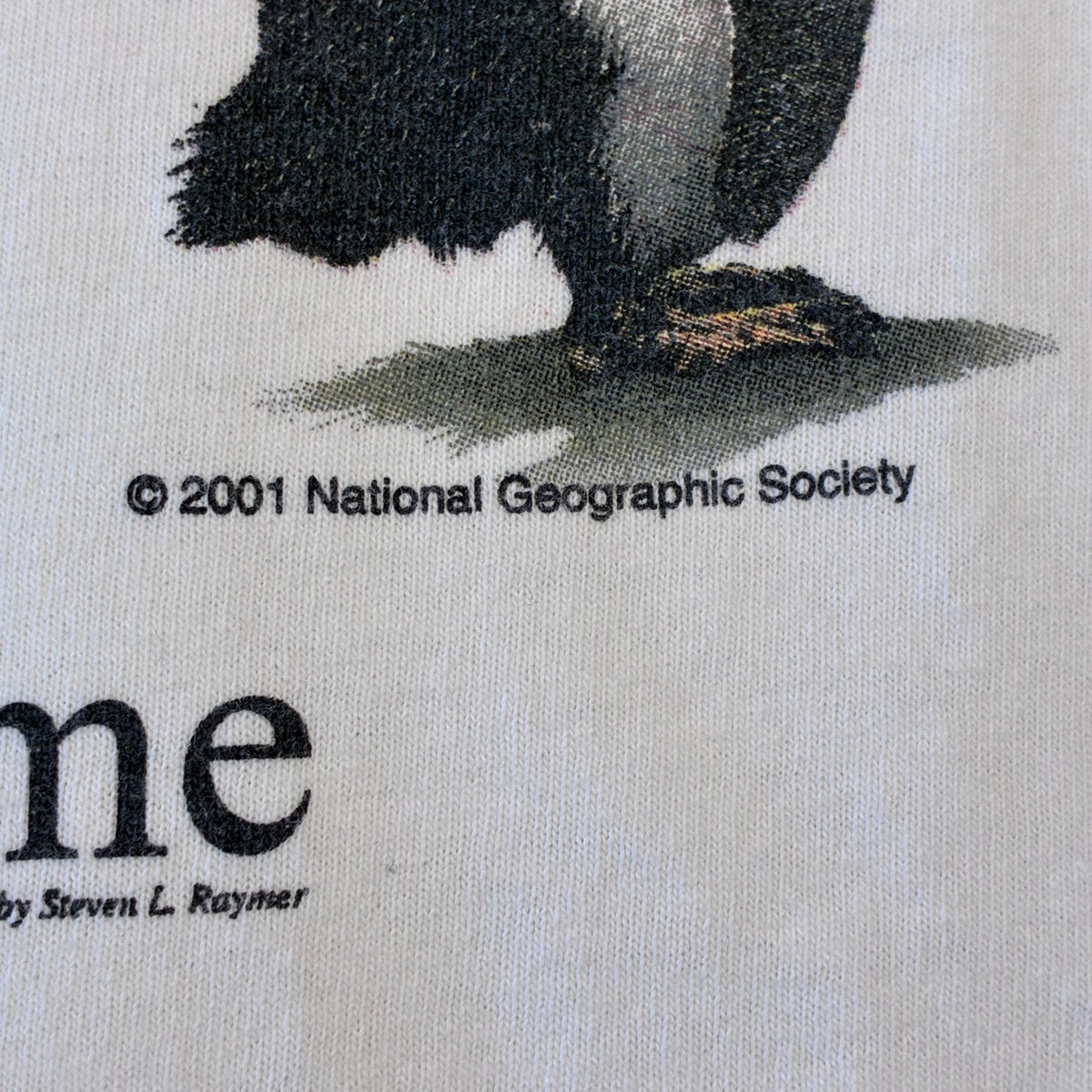 National Geographic penguin T-shirt size large ￼